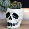 Totenschädel Pflanzentopf 2 Totenschädel Pflanzentopf -Halloween/Cosplay totenkopf pflanzengefaess totenschaedel pflanzentopf ceramic skull planter halloween homeware 51672 04