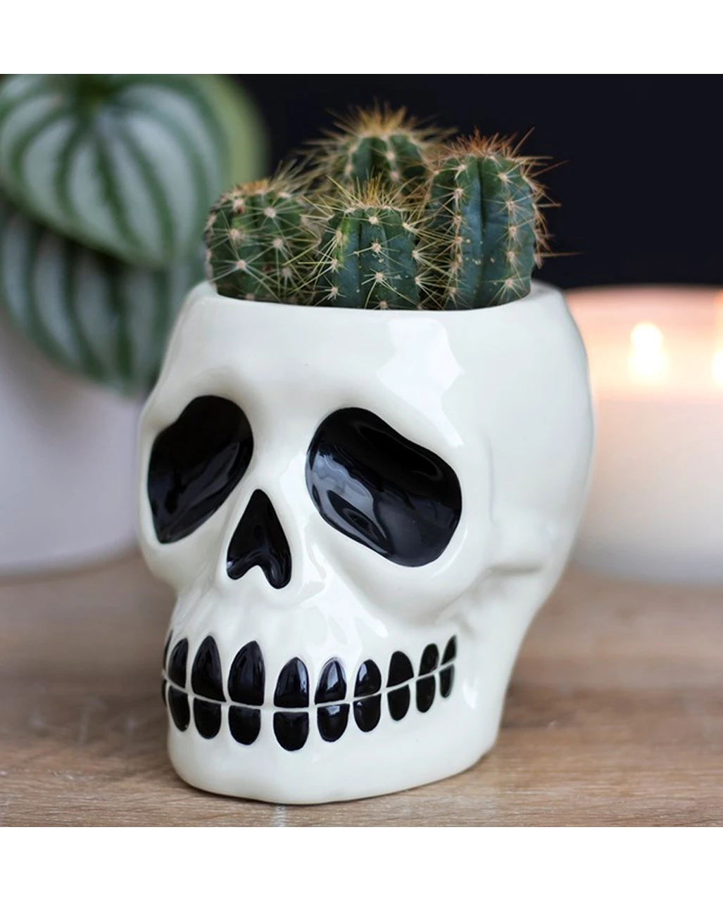 Totenschädel Pflanzentopf 3 Totenschädel Pflanzentopf