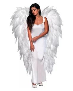 Weiße Federlose Flügel